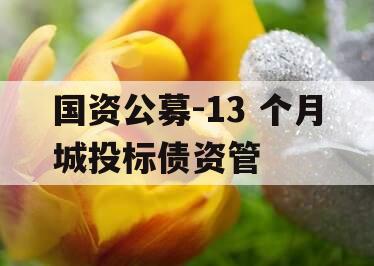 国资公募-13 个月城投标债资管