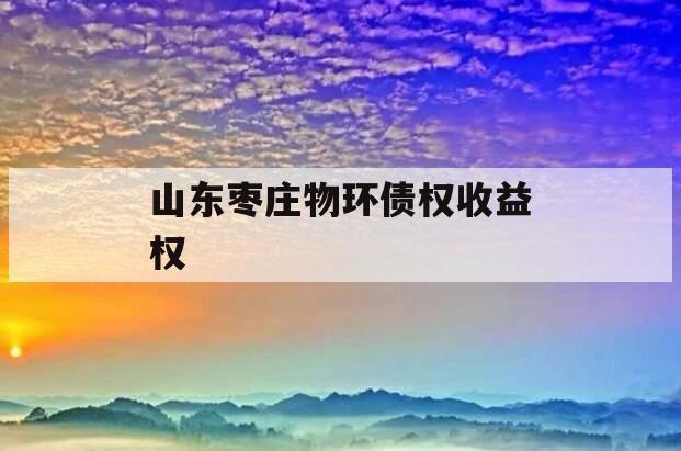 山东枣庄物环债权收益权