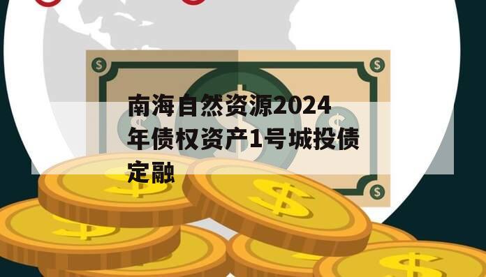 南海自然资源2024年债权资产1号城投债定融