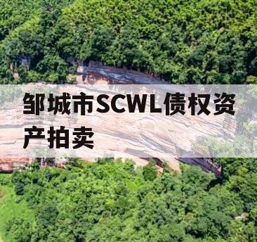 邹城市SCWL债权资产拍卖