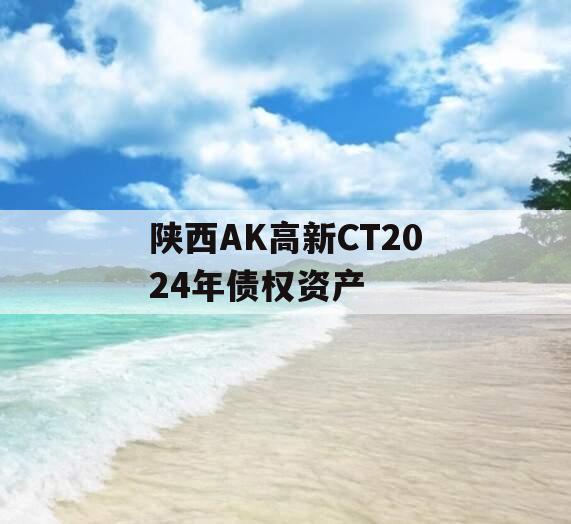 陕西AK高新CT2024年债权资产