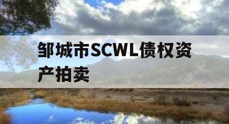 邹城市SCWL债权资产拍卖