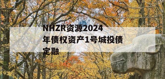 NHZR资源2024年债权资产1号城投债定融
