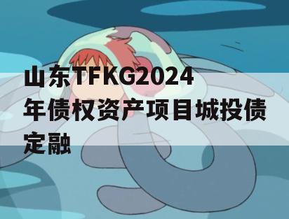 山东TFKG2024年债权资产项目城投债定融