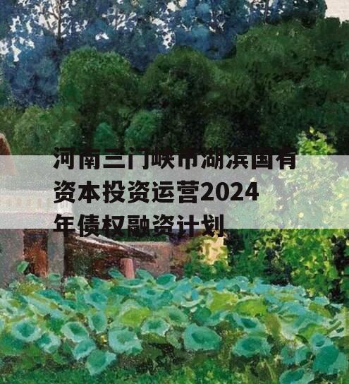河南三门峡市湖滨国有资本投资运营2024年债权融资计划