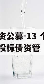 国资公募-13 个月城投标债资管