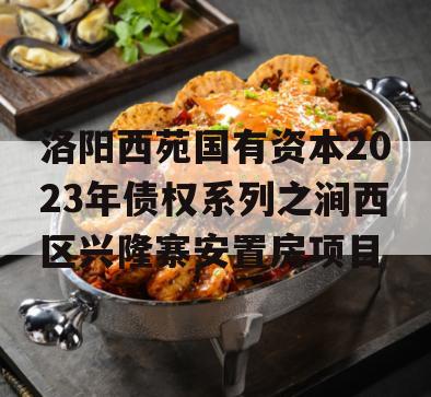 洛阳西苑国有资本2023年债权系列之涧西区兴隆寨安置房项目