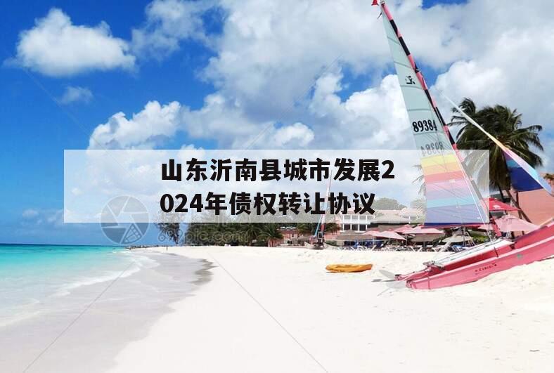 山东沂南县城市发展2024年债权转让协议