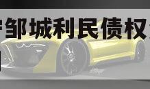 济宁邹城利民债权资产项目