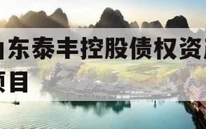 山东泰丰控股债权资产项目