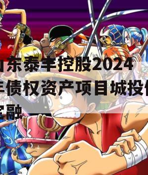 山东泰丰控股2024年债权资产项目城投债定融