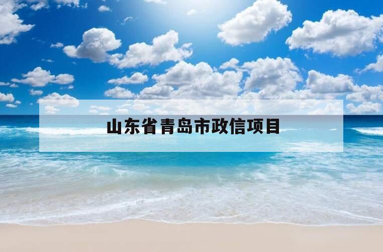 山东省青岛市政信项目