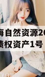 南海自然资源2024年债权资产1号