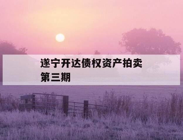 遂宁开达债权资产拍卖第三期