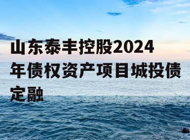 山东泰丰控股2024年债权资产项目城投债定融