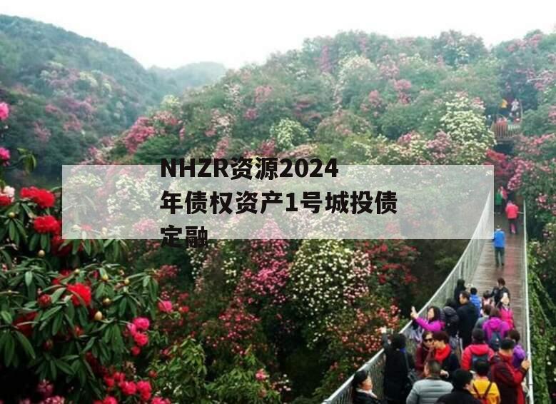 NHZR资源2024年债权资产1号城投债定融