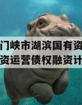 三门峡市湖滨国有资本投资运营债权融资计划