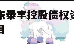山东泰丰控股债权资产项目