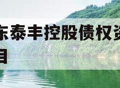 山东泰丰控股债权资产项目