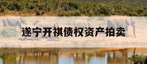 遂宁开祺债权资产拍卖