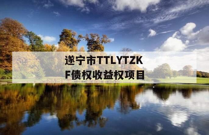 遂宁市TTLYTZKF债权收益权项目