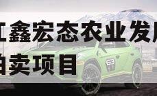 内江鑫宏态农业发展债权拍卖项目
