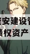 四川资安建设管理2024年债权资产