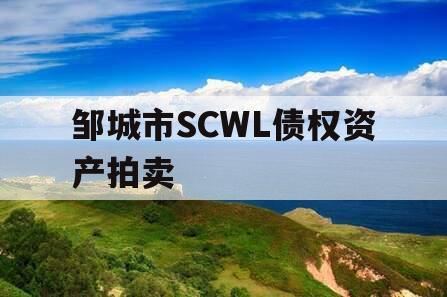 邹城市SCWL债权资产拍卖