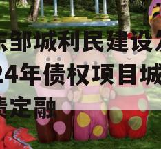 山东邹城利民建设发展2024年债权项目城投债定融