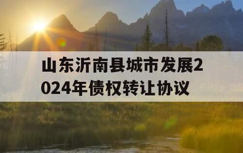 山东沂南县城市发展2024年债权转让协议