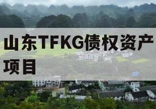 山东TFKG债权资产项目