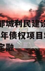 山东邹城利民建设发展2024年债权项目城投债定融