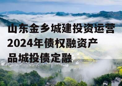 山东金乡城建投资运营2024年债权融资产品城投债定融