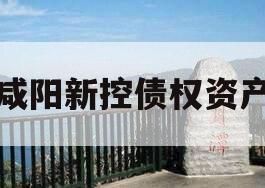咸阳新控债权资产