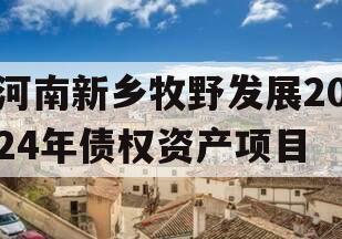 河南新乡牧野发展2024年债权资产项目