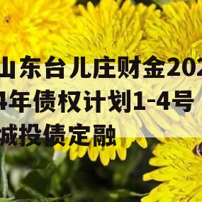 山东台儿庄财金2024年债权计划1-4号城投债定融