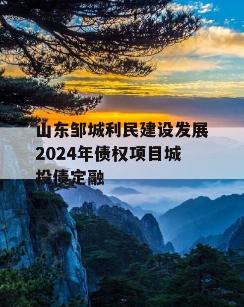 山东邹城利民建设发展2024年债权项目城投债定融