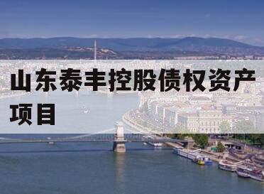 山东泰丰控股债权资产项目