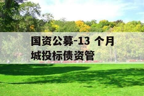 国资公募-13 个月城投标债资管