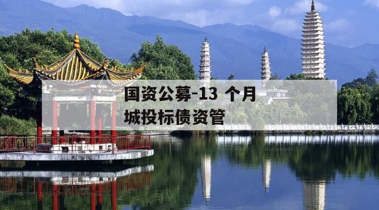 国资公募-13 个月城投标债资管