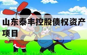 山东泰丰控股债权资产项目