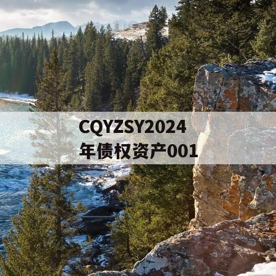 CQYZSY2024年债权资产001