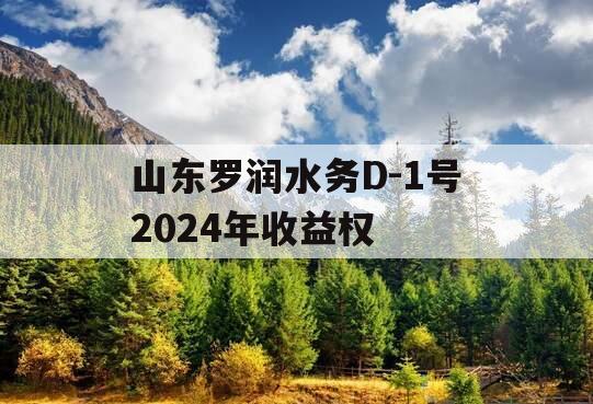 山东罗润水务D-1号2024年收益权