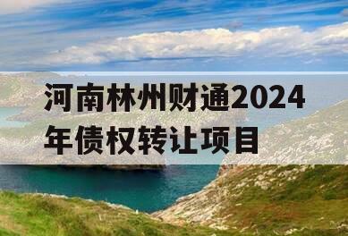 河南林州财通2024年债权转让项目
