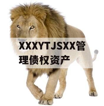 XXXYTJSXX管理债权资产