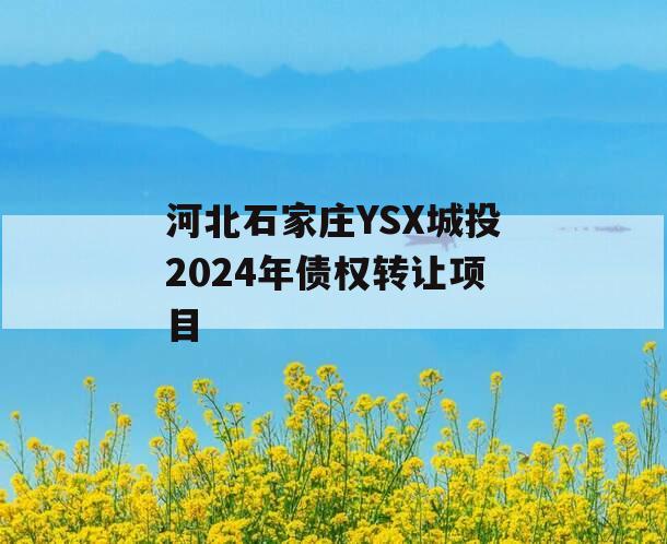 河北石家庄YSX城投2024年债权转让项目