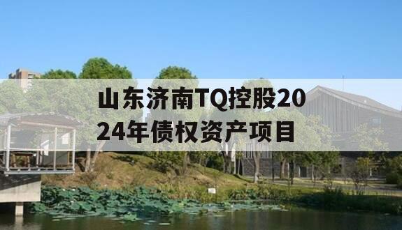 山东济南TQ控股2024年债权资产项目