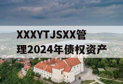 XXXYTJSXX管理2024年债权资产