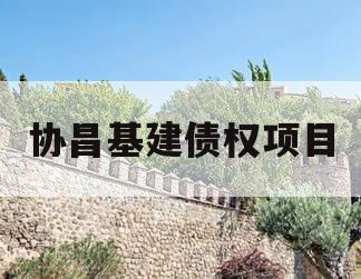 协昌基建债权项目