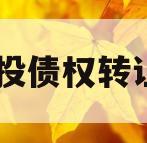 XX城投债权转让计划